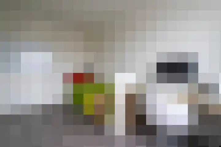 Vlindertuin 42 Veenendaal thumbnail 13