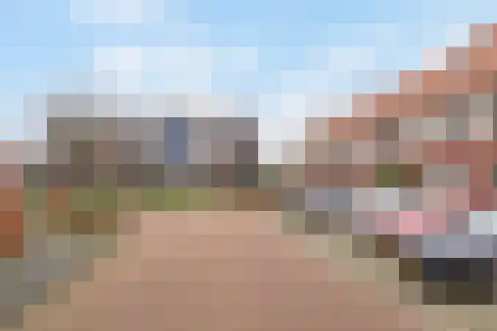 Vlindertuin 42 Veenendaal thumbnail 22