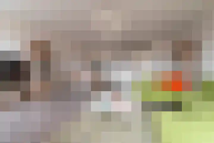 Vlindertuin 42 Veenendaal thumbnail 4