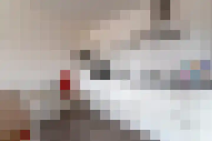 Vlindertuin 42 Veenendaal thumbnail 8