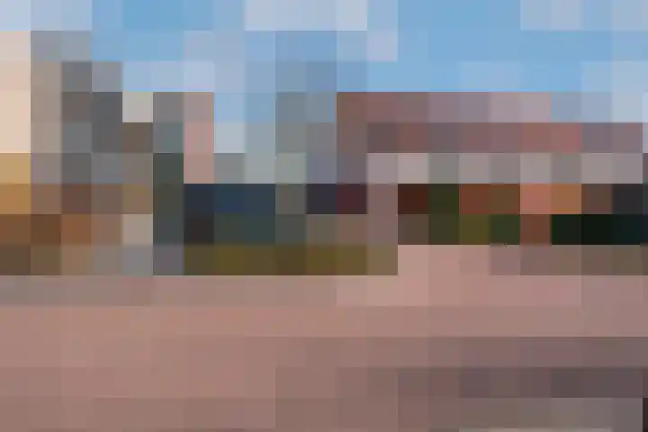 Vlindertuin 7 Veenendaal thumbnail 19