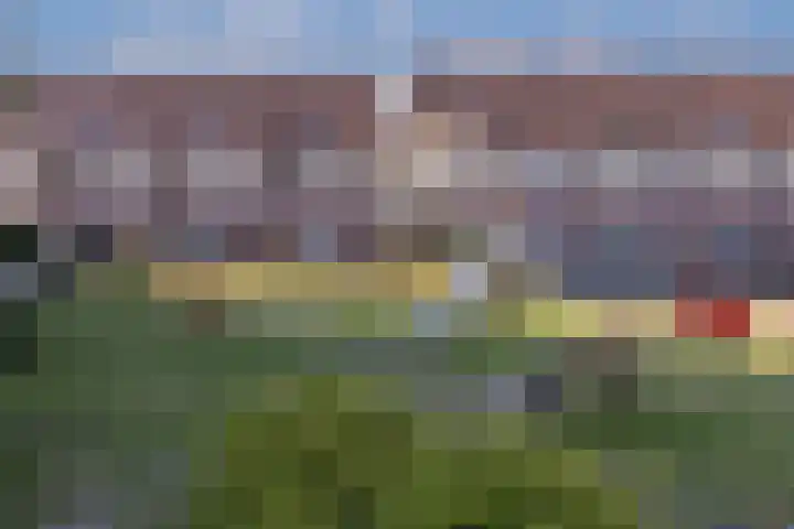 Vlindertuin 7 Veenendaal thumbnail 21