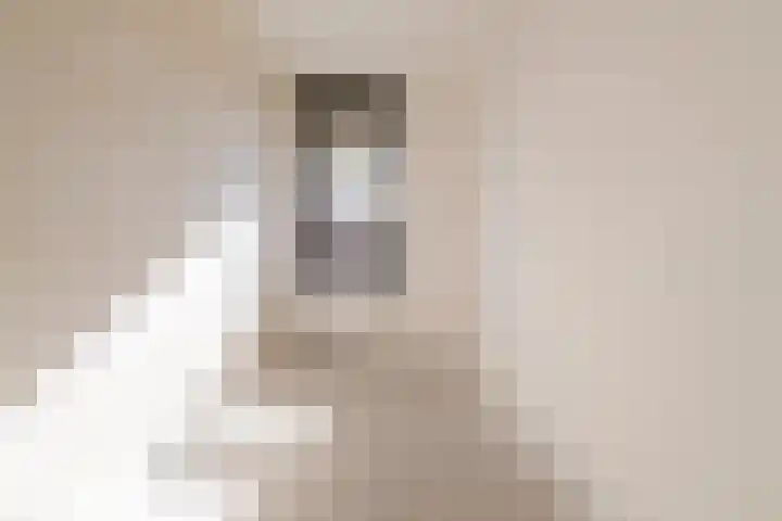 Vlindertuin 7 Veenendaal thumbnail 9