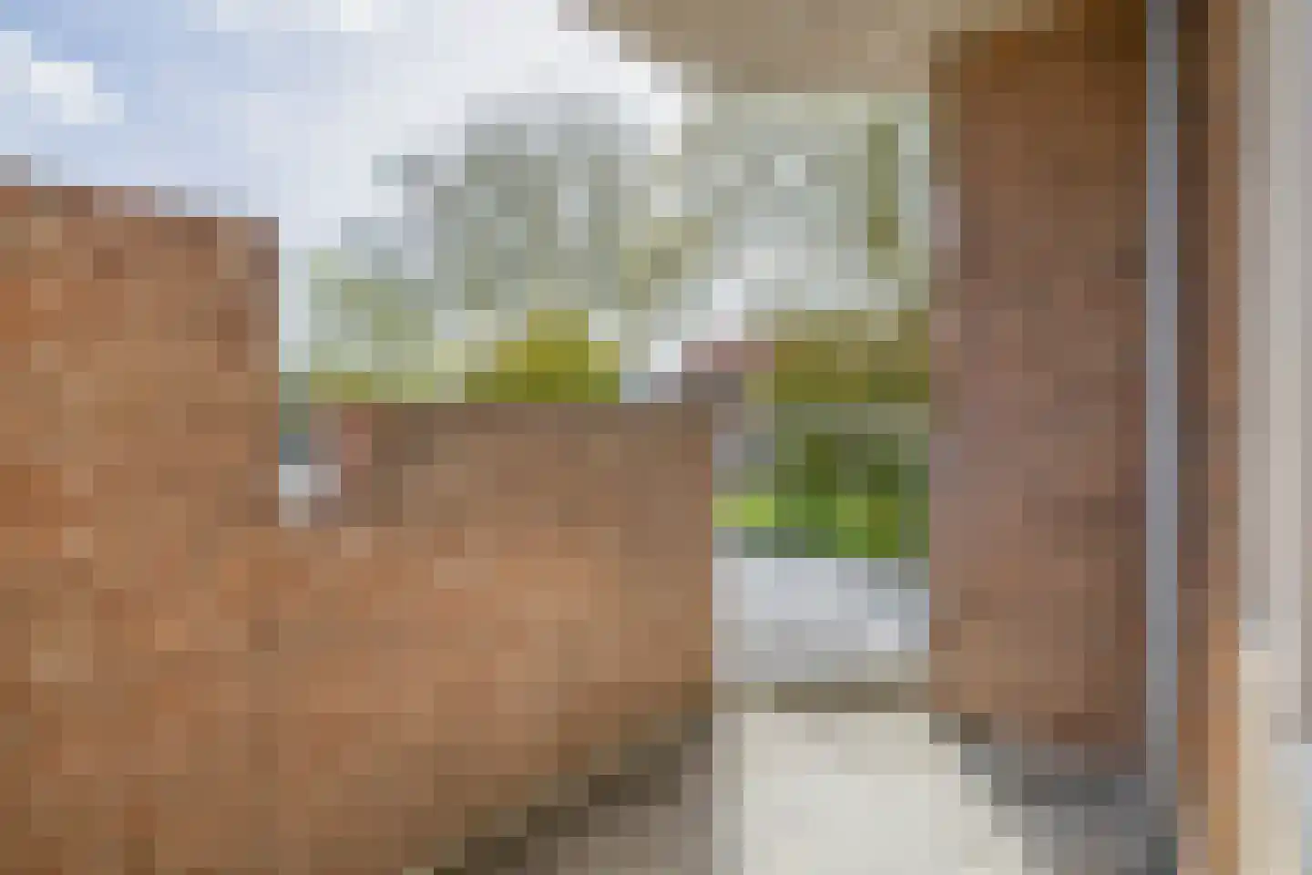 Vlinderveen 1412 Spijkenisse thumbnail 31