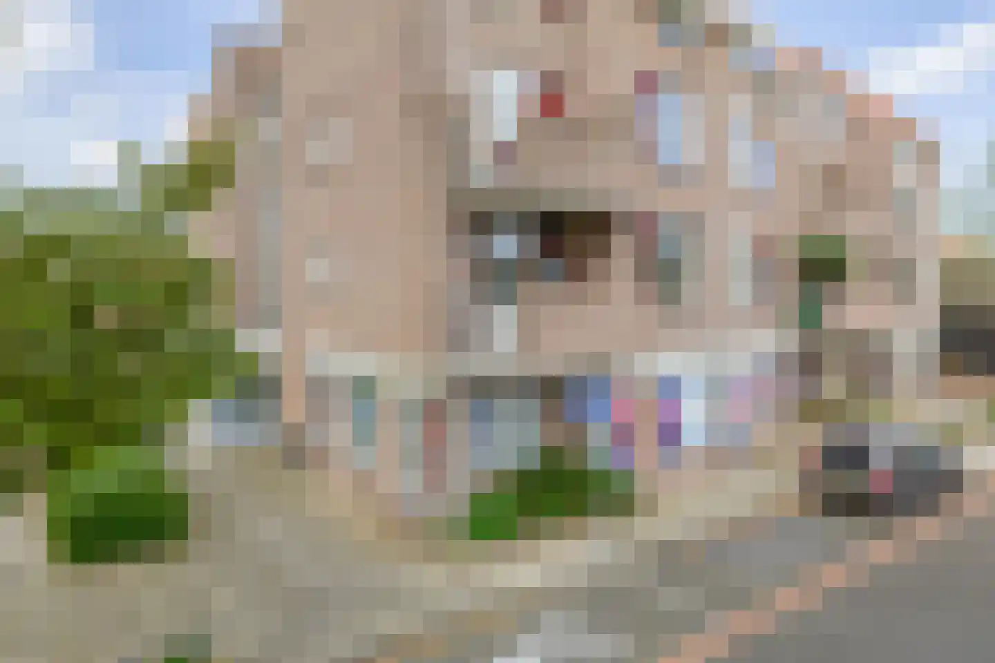 Vlinderveen 1412 Spijkenisse thumbnail 9