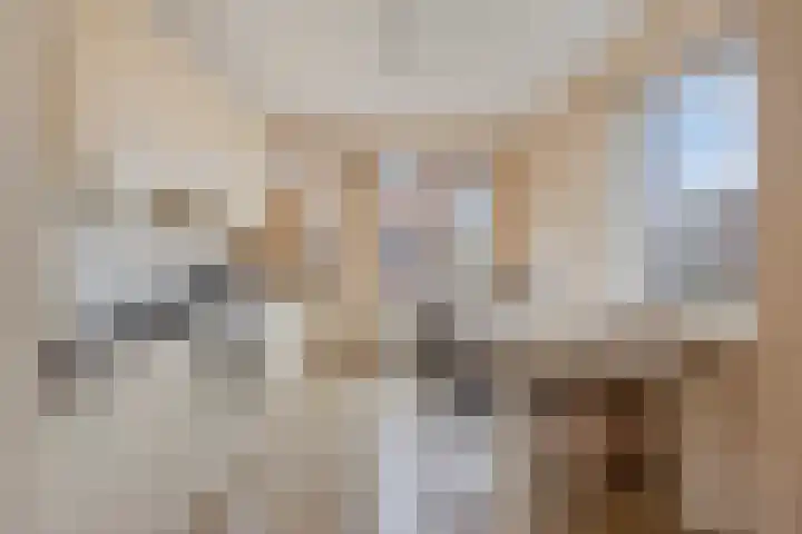 Vlinderveen 201 Spijkenisse thumbnail 13