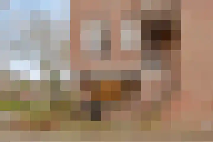 Vlinderveen 201 Spijkenisse thumbnail 15