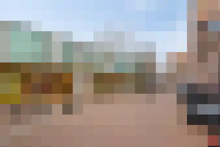 Vlinderveen 201 Spijkenisse thumbnail 17