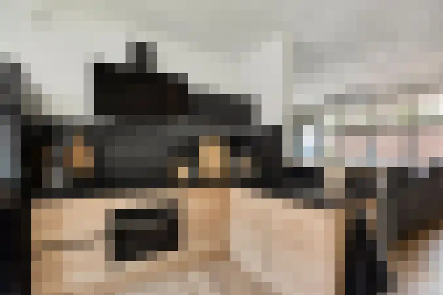 Vlinderveen 207 Spijkenisse thumbnail 15
