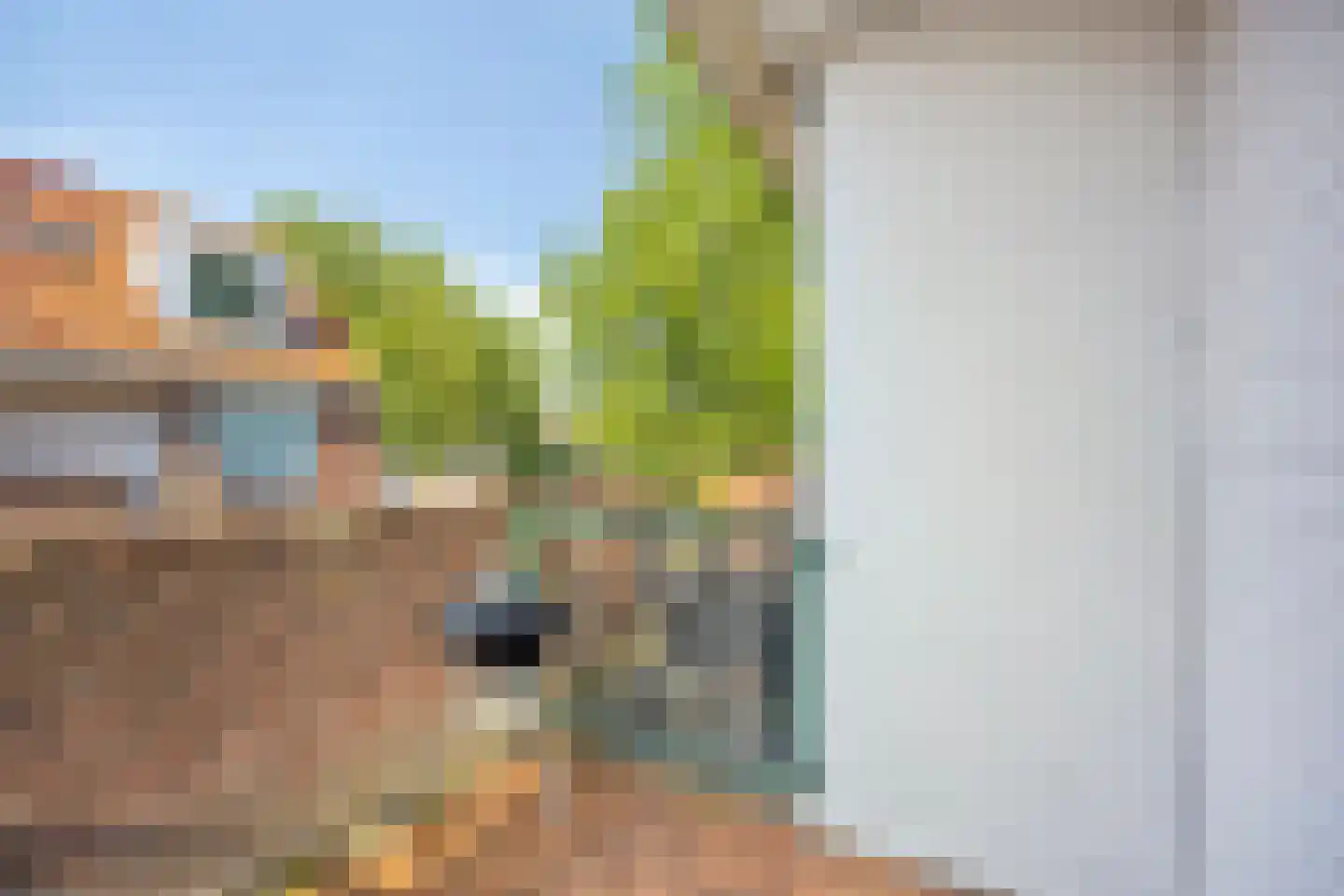 Vlinderveen 207 Spijkenisse thumbnail 19