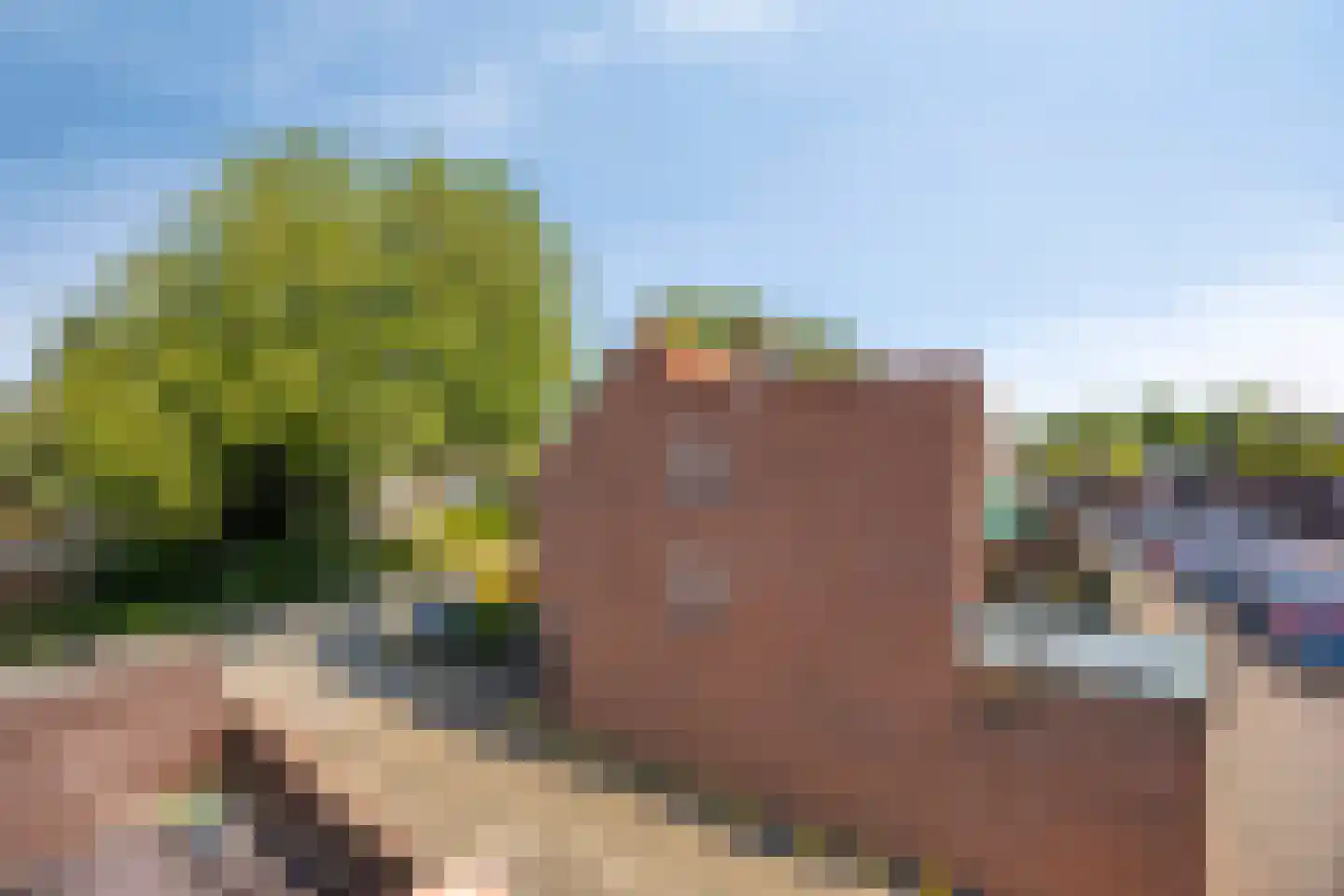 Vlinderveen 207 Spijkenisse thumbnail 26