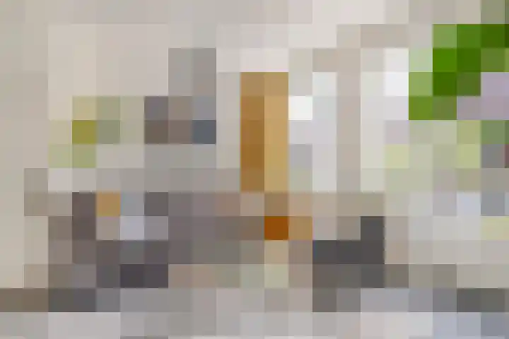 Vlinderveen 220 Spijkenisse thumbnail 10