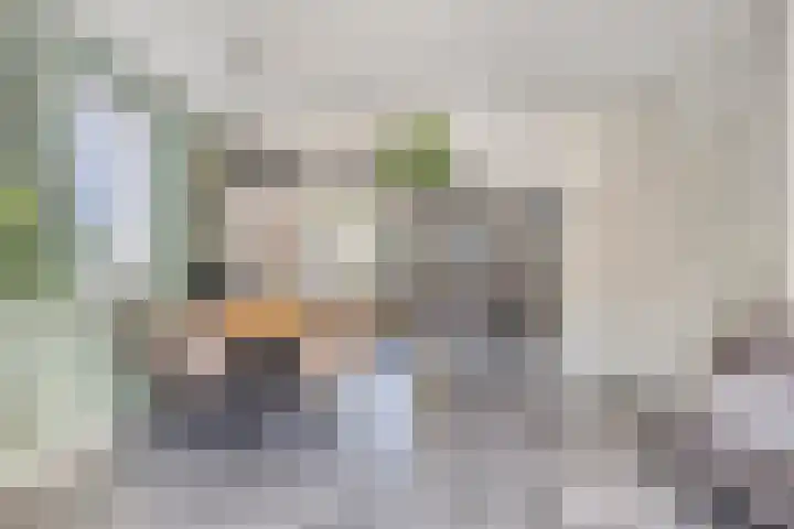 Vlinderveen 220 Spijkenisse thumbnail 11