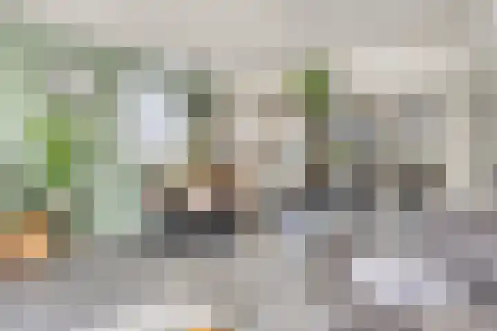 Vlinderveen 220 Spijkenisse thumbnail 12