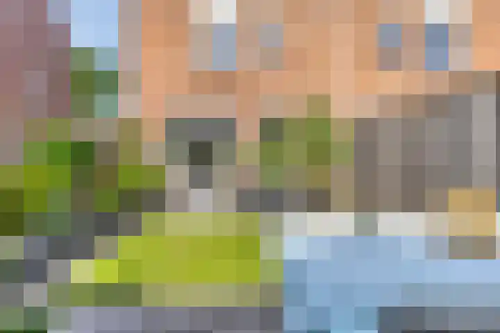 Vlinderveen 220 Spijkenisse thumbnail 16