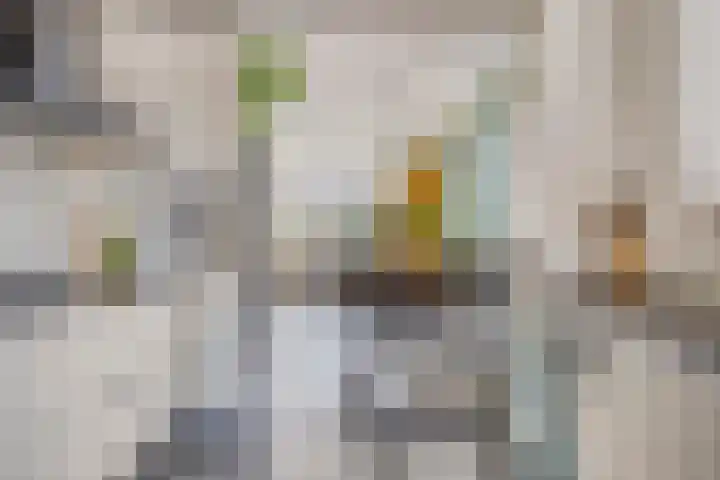 Vlinderveen 220 Spijkenisse thumbnail 20