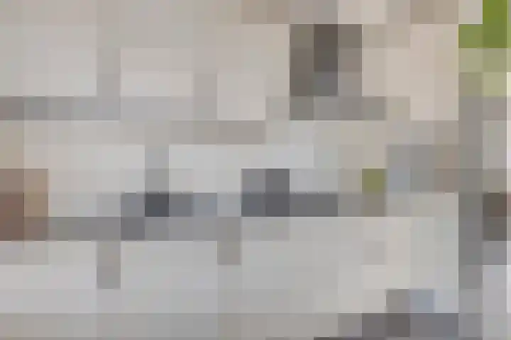 Vlinderveen 220 Spijkenisse thumbnail 21