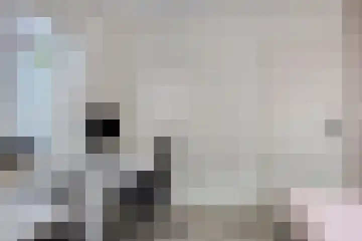 Vlinderveen 220 Spijkenisse thumbnail 29