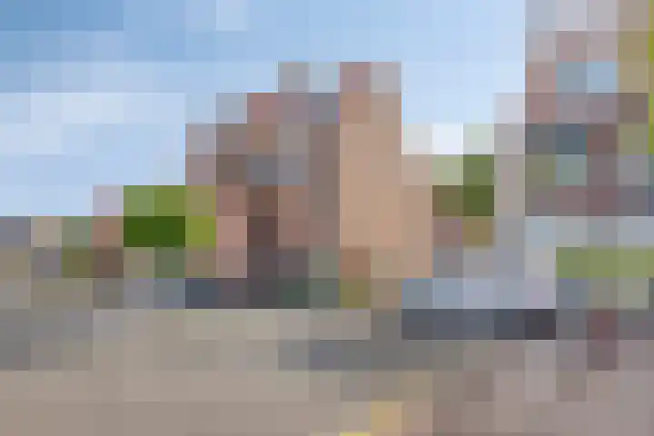 Vlinderveen 220 Spijkenisse thumbnail 32