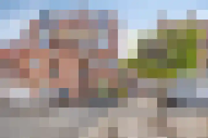 Vlinderveen 220 Spijkenisse thumbnail 33