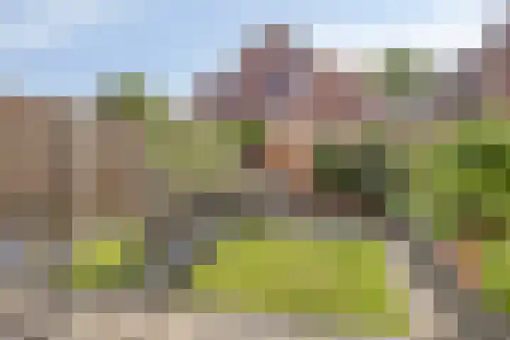 Vlinderveen 220 Spijkenisse thumbnail 5