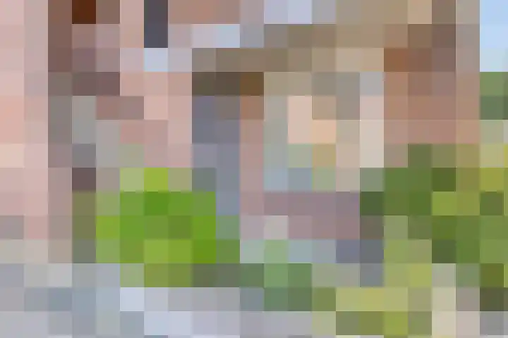 Vlinderveen 220 Spijkenisse thumbnail 6