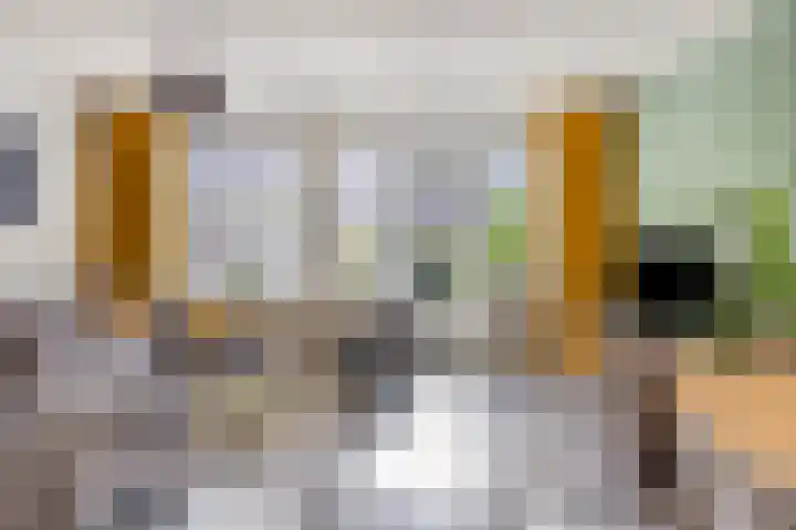 Vlinderveen 220 Spijkenisse thumbnail 9