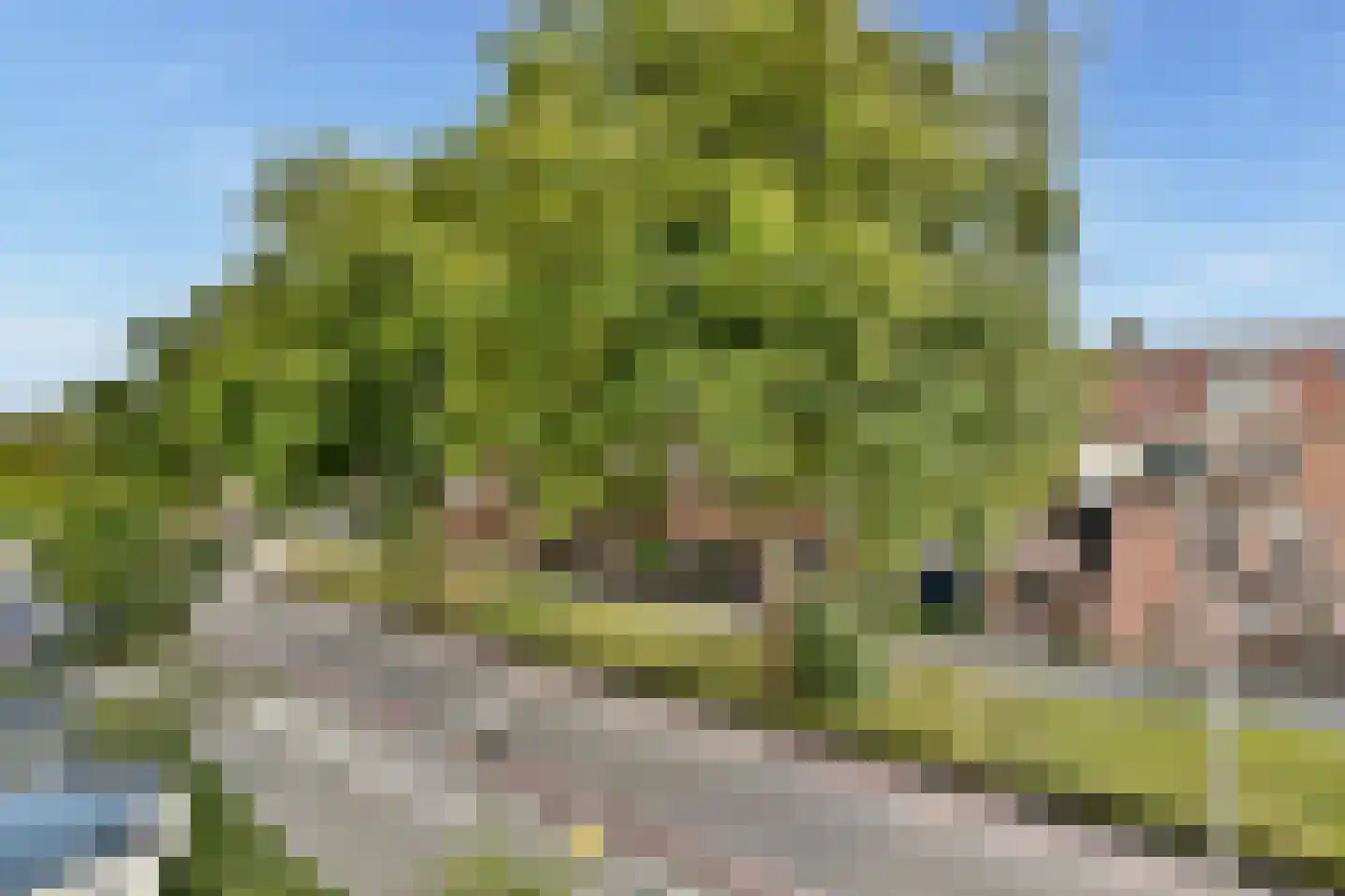 Vlinderveen 2402 Spijkenisse thumbnail 21