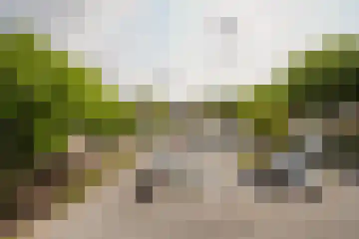 Vlinderveen 2408 Spijkenisse thumbnail 27