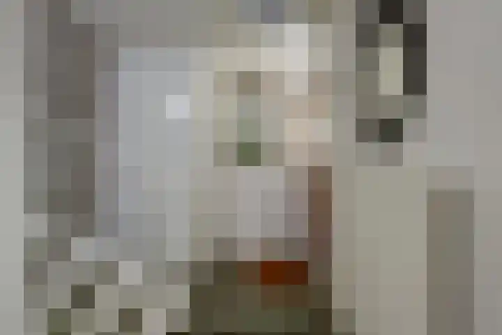 Vlinderveen 320 Spijkenisse thumbnail 10