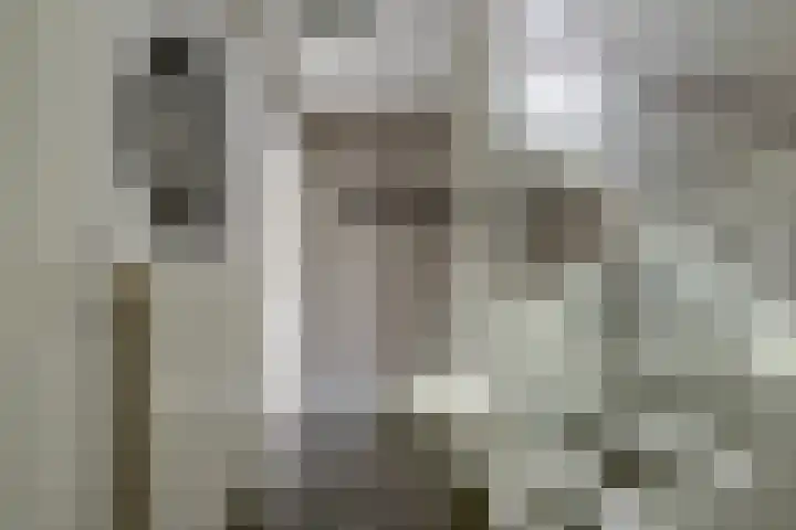 Vlinderveen 320 Spijkenisse thumbnail 11