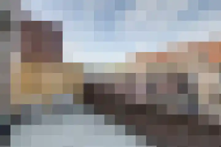 Vlinderveen 320 Spijkenisse thumbnail 26