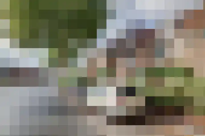 Vlinderveen 320 Spijkenisse thumbnail 30