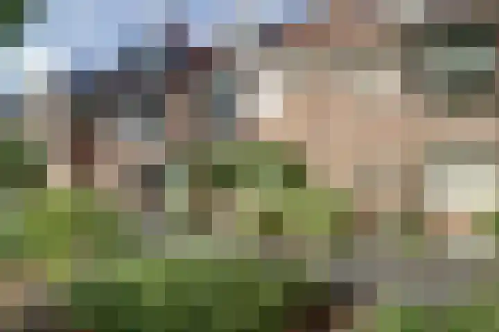 Vlinderveen 320 Spijkenisse thumbnail 32