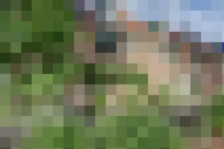 Vlinderveen 320 Spijkenisse thumbnail 33