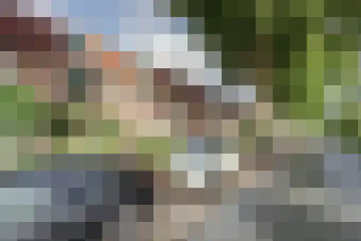Vlinderveen 320 Spijkenisse thumbnail 34