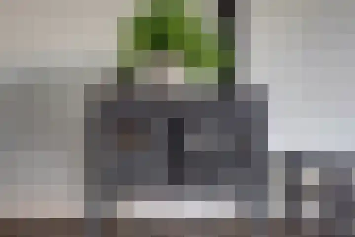 Vlinderveen 320 Spijkenisse thumbnail 5