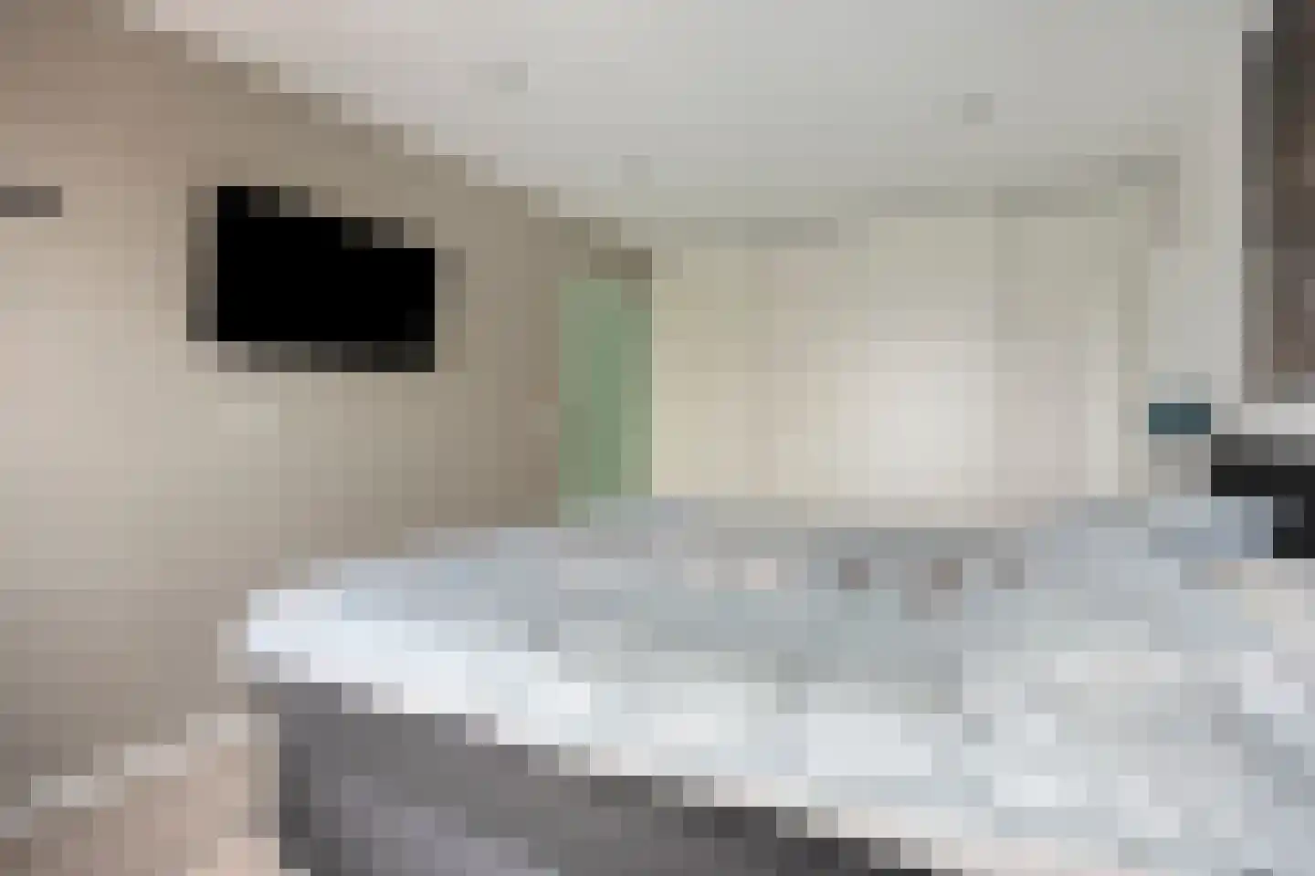 Vlinderveen 437 Spijkenisse thumbnail 19