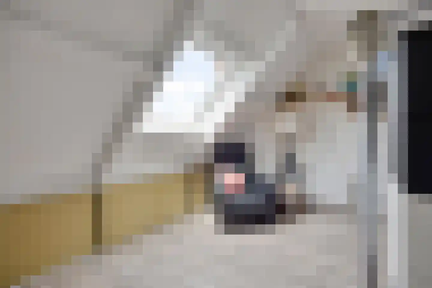 Vlinderveen 437 Spijkenisse thumbnail 30