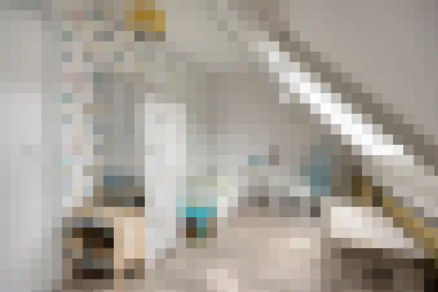 Vlinderveen 437 Spijkenisse thumbnail 31