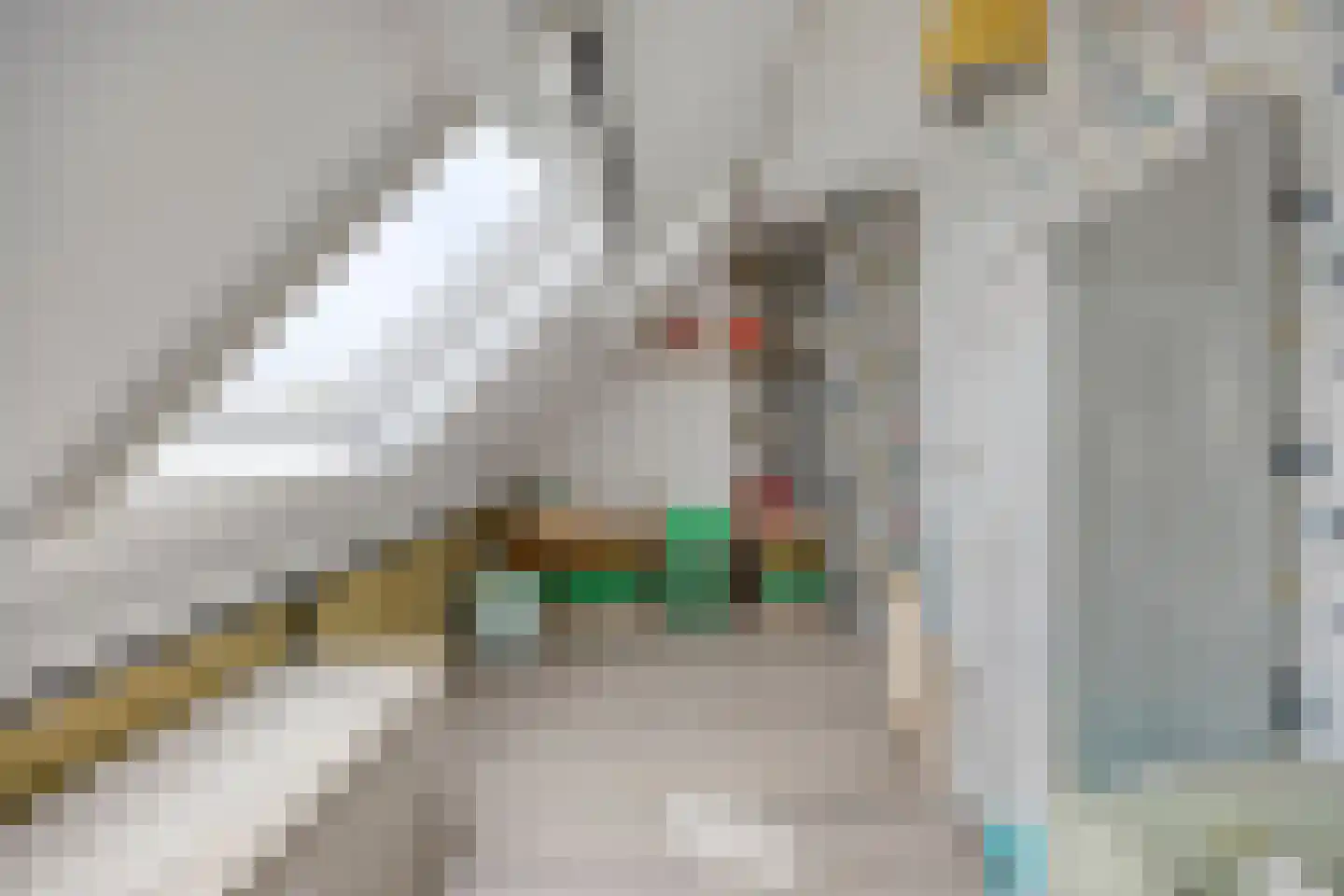 Vlinderveen 437 Spijkenisse thumbnail 32
