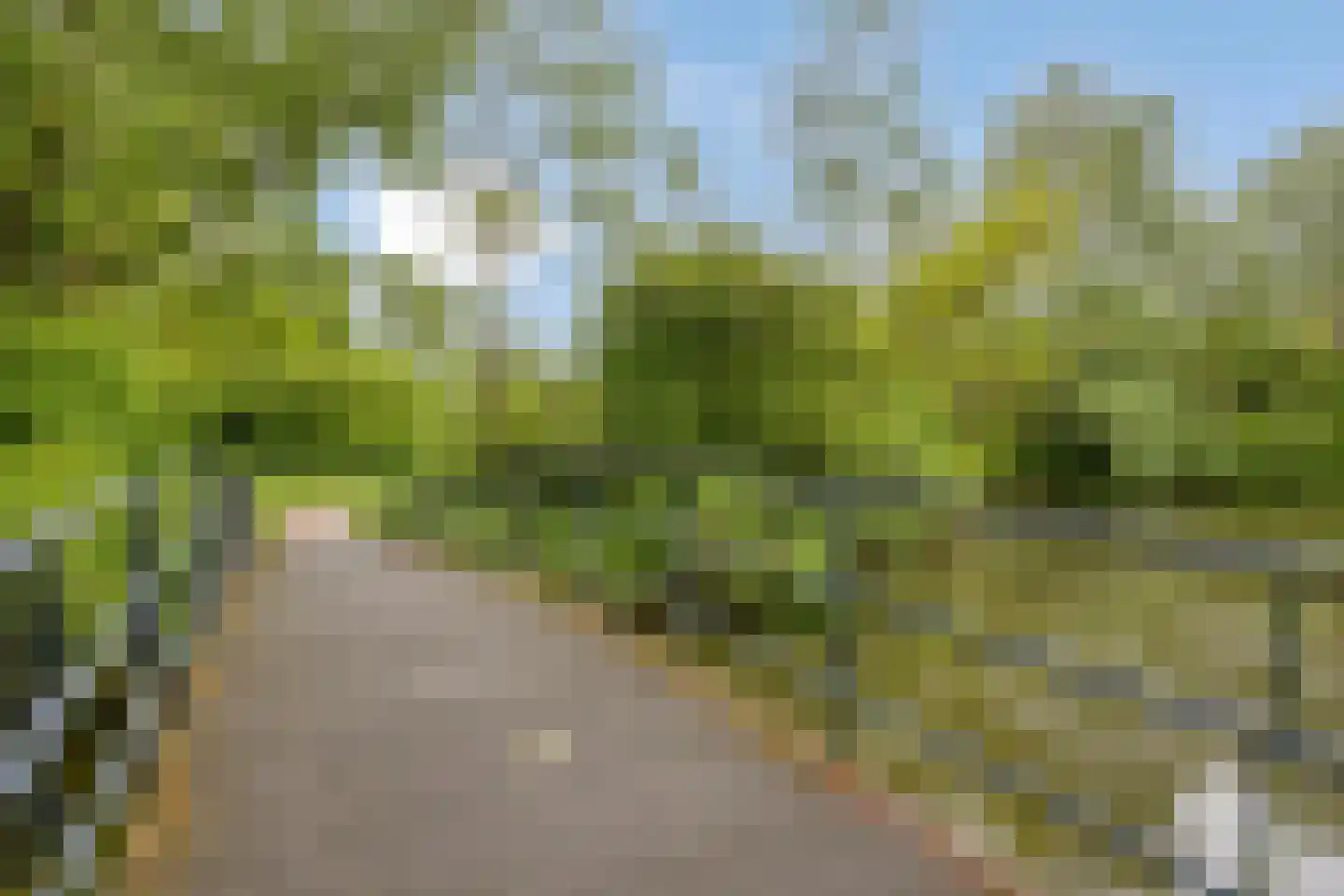 Vlinderveen 437 Spijkenisse thumbnail 42