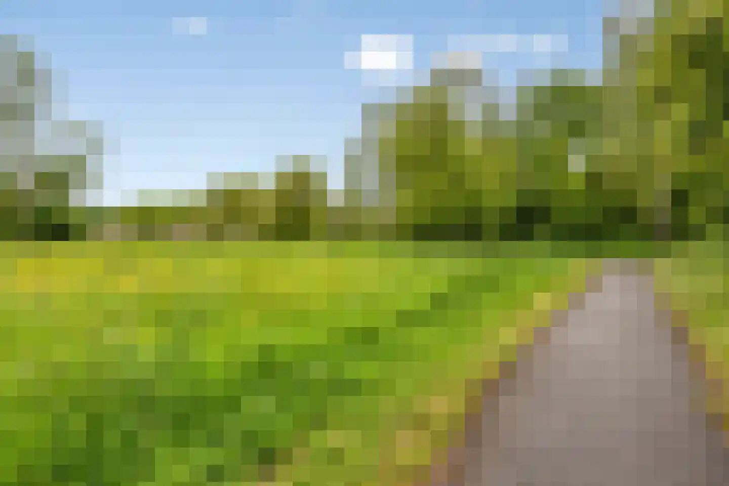 Vlinderveen 437 Spijkenisse thumbnail 43