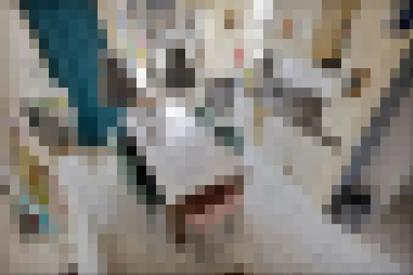 Vlinderveen 437 Spijkenisse thumbnail 8