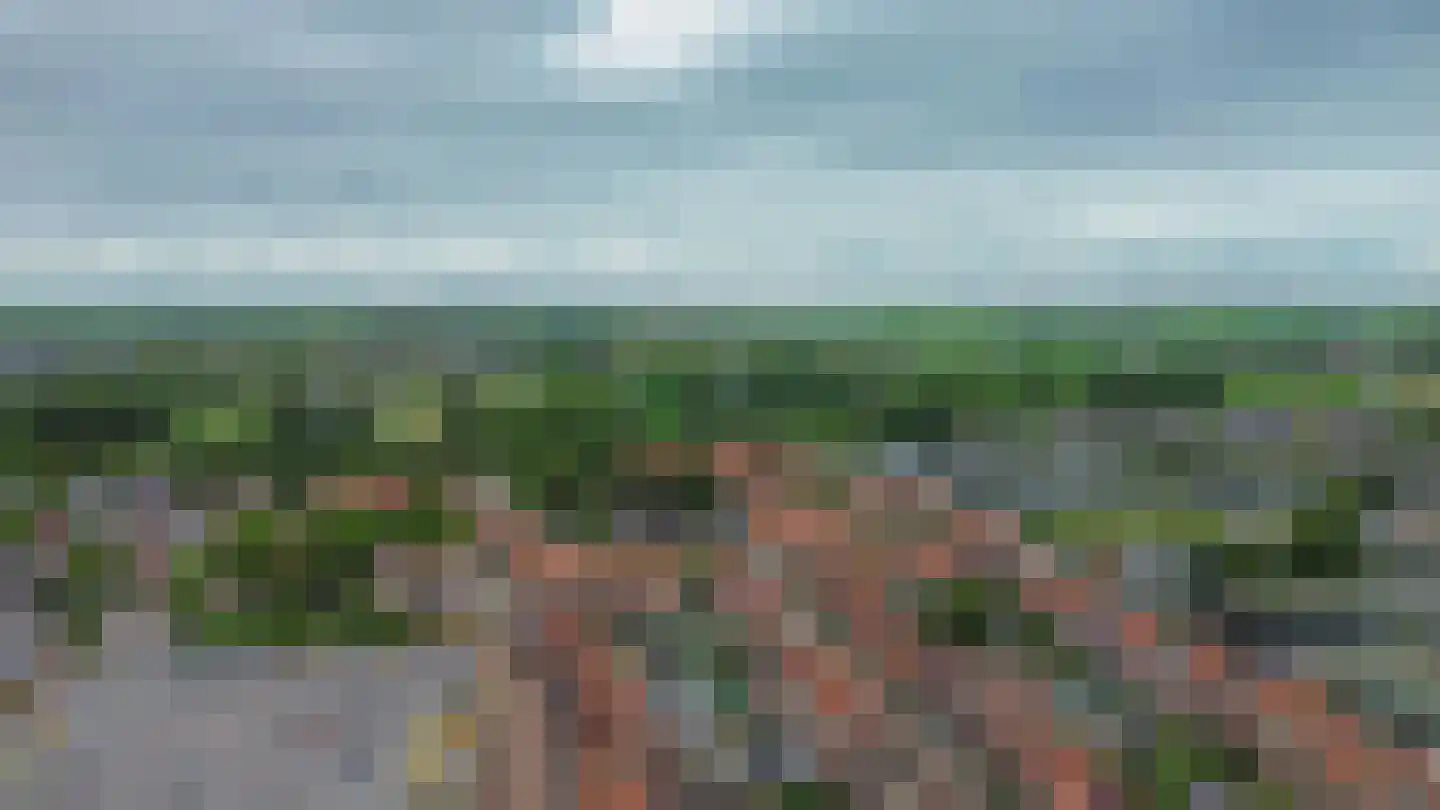 Vlinderveen 474 A Spijkenisse thumbnail 47