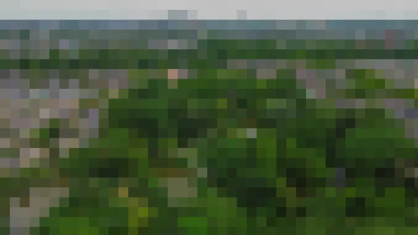 Vlinderveen 474 A Spijkenisse thumbnail 53