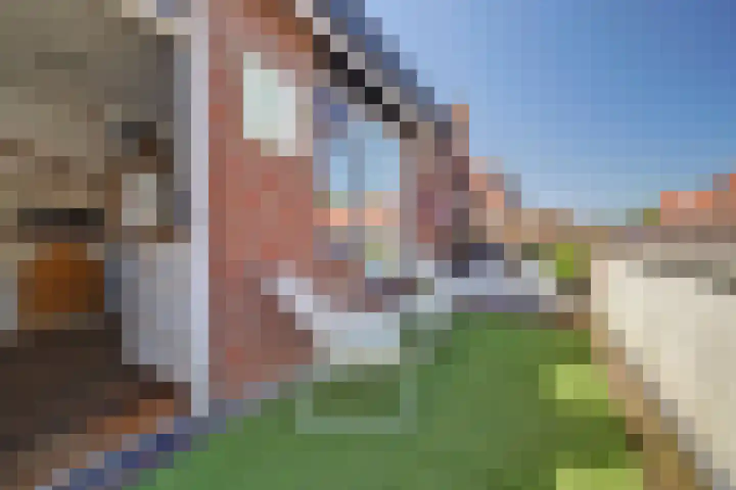 Vlinderveen 480 Spijkenisse thumbnail 9
