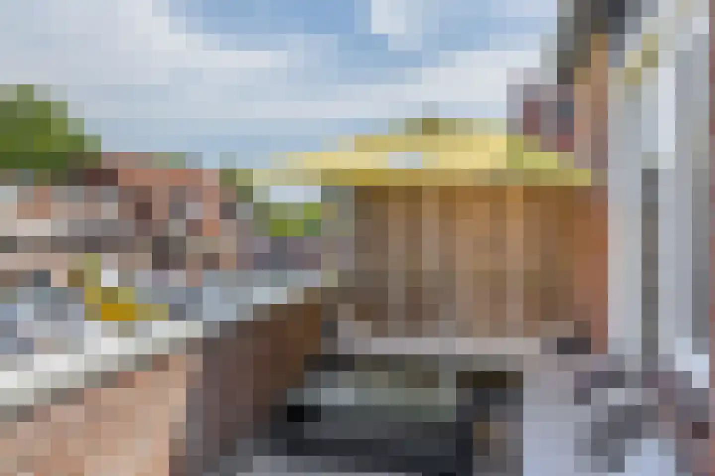 Vlinderveen 486 Spijkenisse thumbnail 25