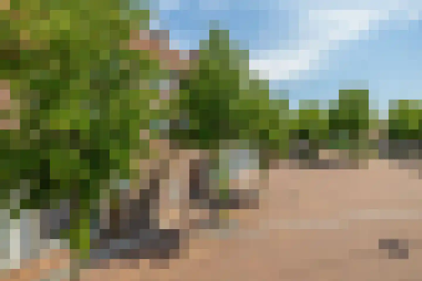 Vlinderveen 486 Spijkenisse thumbnail 6