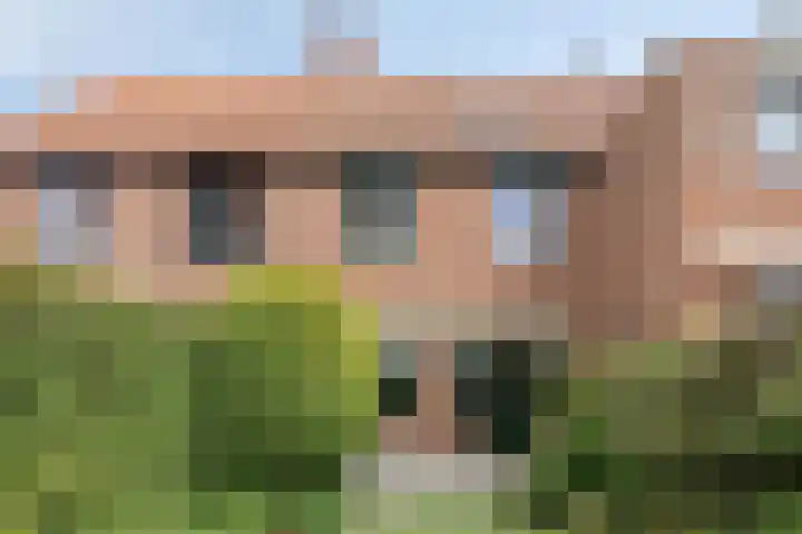 Vlinderveen 521 Spijkenisse thumbnail 29